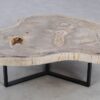 Table basse bois pétrifié 49300
