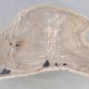 Table basse bois pétrifié 49302
