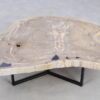Table basse bois pétrifié 49302