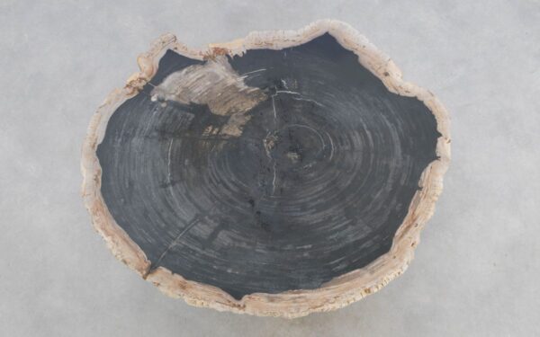 Table basse bois pétrifié 49311