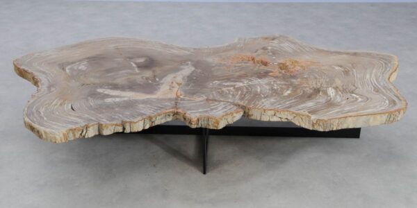Table basse bois pétrifié 49317