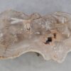 Table basse bois pétrifié 49319