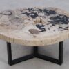 Table basse bois pétrifié 49384