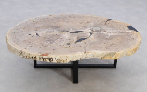 Table basse bois pétrifié 49386