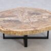 Table basse bois pétrifié 49387