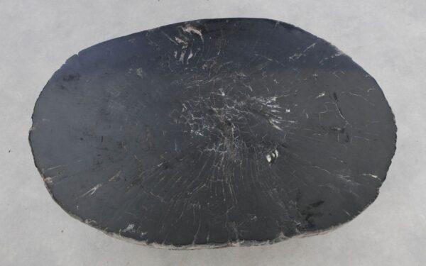 Table basse bois pétrifié 49395
