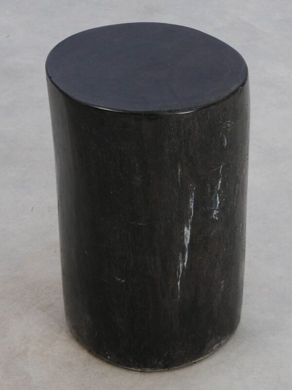 Table d'appoint bois pétrifié 49006