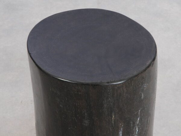 Table d'appoint bois pétrifié 49006