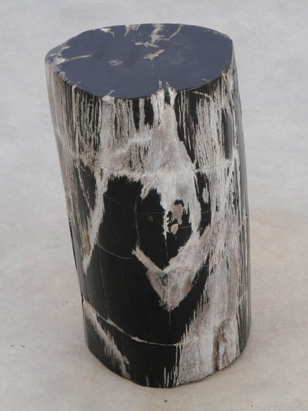 Table d'appoint bois pétrifié 49040
