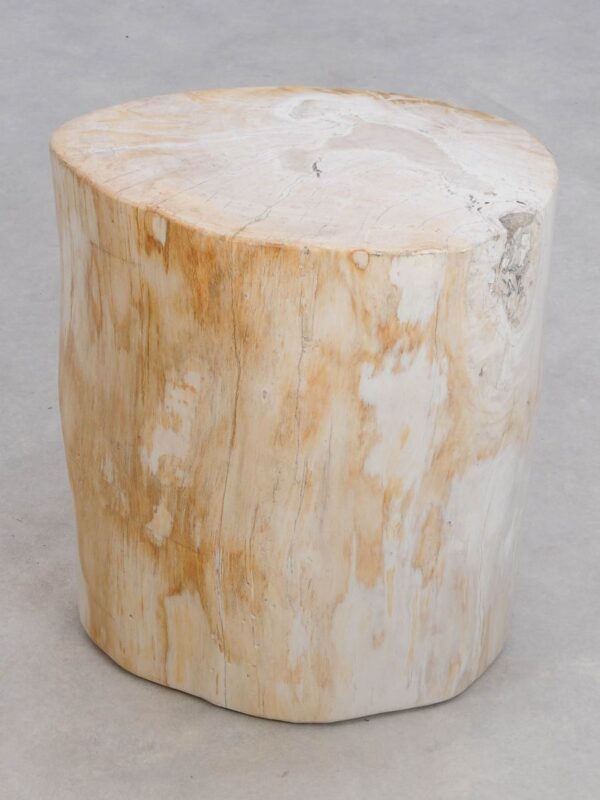 Table d'appoint bois pétrifié 49052