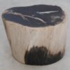 Table d'appoint bois pétrifié 49056