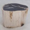 Table d'appoint bois pétrifié 49056