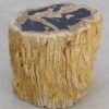Table d'appoint bois pétrifié 49116