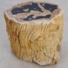 Table d'appoint bois pétrifié 49116