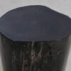 Table d'appoint bois pétrifié 49375