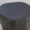 Table d'appoint bois pétrifié 49375
