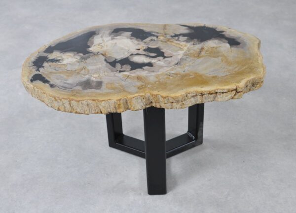 Coffee table petrified wood 36226