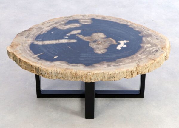 Coffee table petrified wood 44151