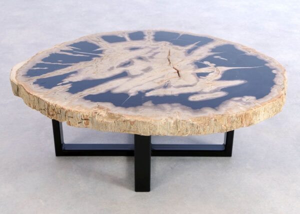 Coffee table petrified wood 44152