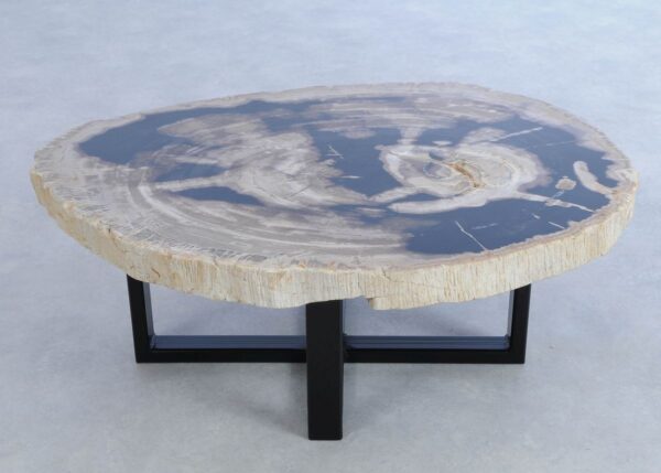 Coffee table petrified wood 44153