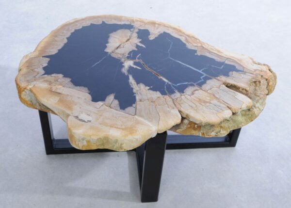 Coffee table petrified wood 45226