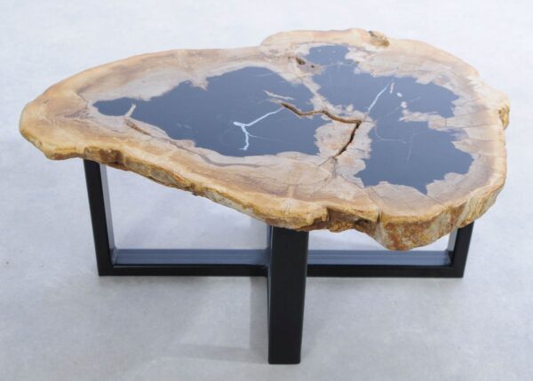Coffee table petrified wood 45227