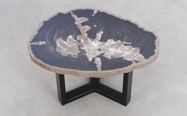 Coffee table petrified wood 49230