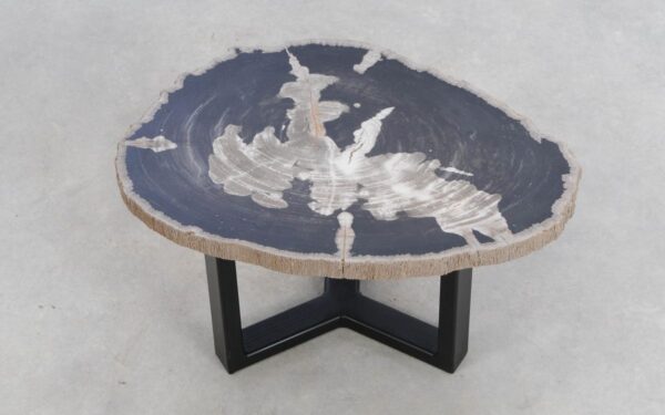 Coffee table petrified wood 49233
