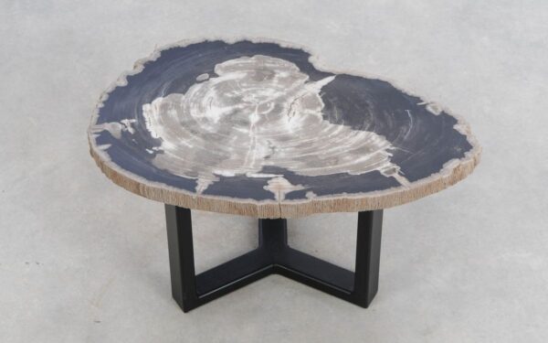 Coffee table petrified wood 49234