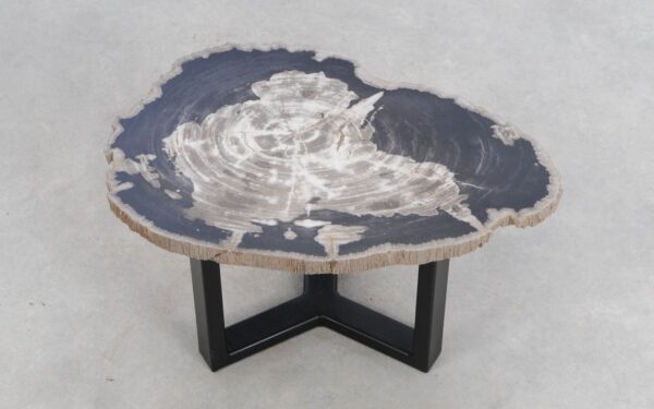 Coffee table petrified wood 49235