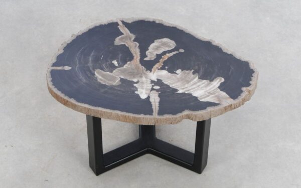 Coffee table petrified wood 49236