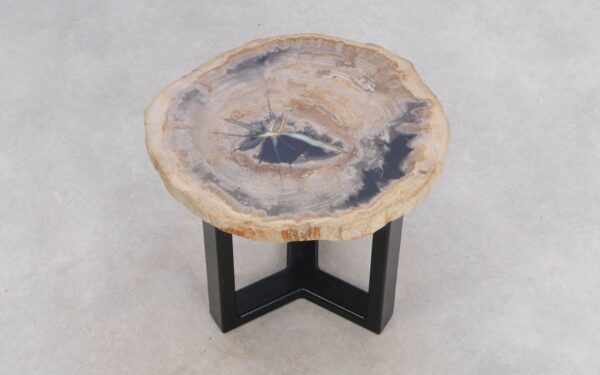 Coffee table petrified wood 49346a