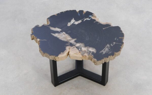 Coffee table petrified wood 49351a