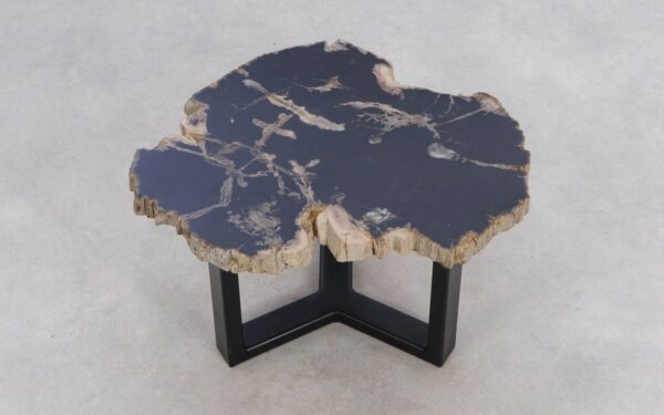 Coffee table petrified wood 49351b