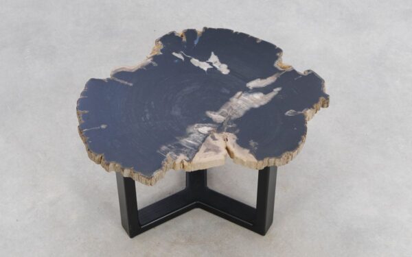 Coffee table petrified wood 49351c
