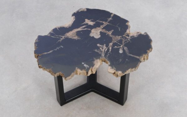 Coffee table petrified wood 49351d