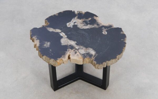 Coffee table petrified wood 49351e