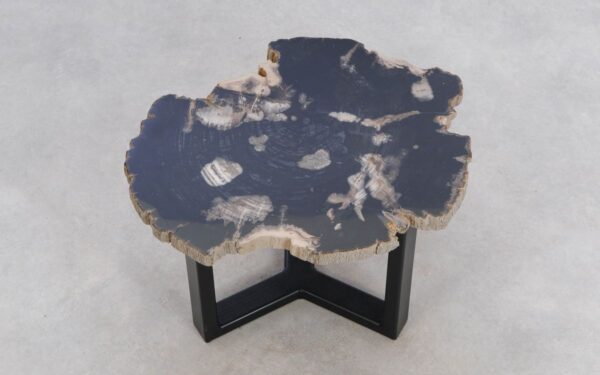 Coffee table petrified wood 49351f