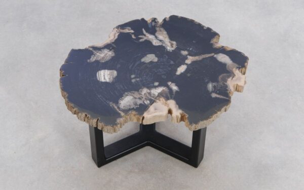 Coffee table petrified wood 49351g