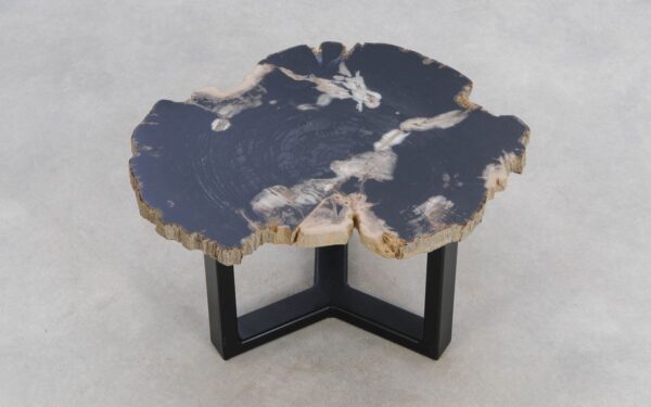 Coffee table petrified wood 49351h