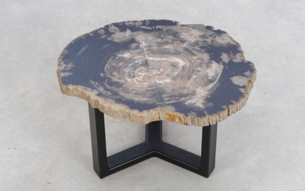 Coffee table petrified wood 49353d