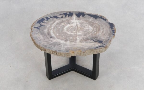 Coffee table petrified wood 49353f