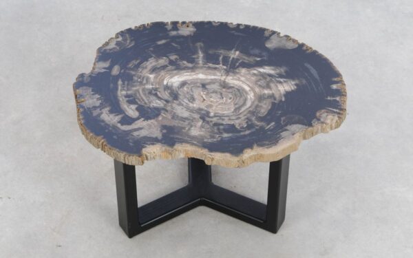 Coffee table petrified wood 49353h