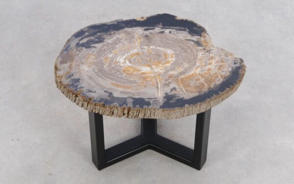 Coffee table petrified wood 49353i