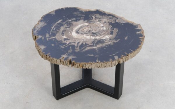 Coffee table petrified wood 49353j