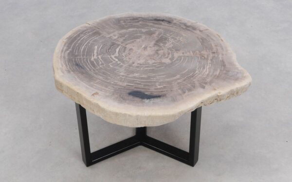 Coffee table petrified wood 50159