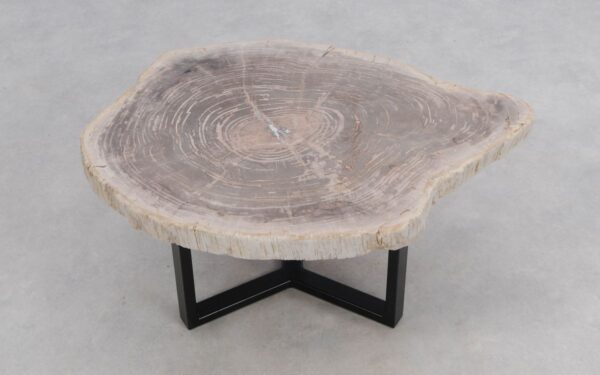 Coffee table petrified wood 50167