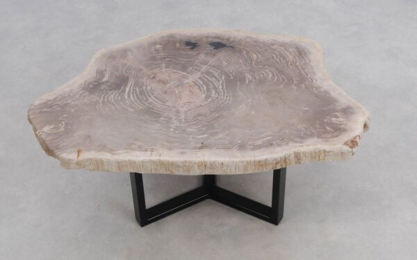 Coffee table petrified wood 50168