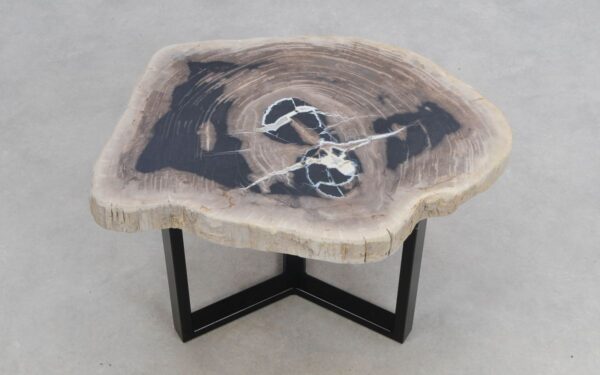 Coffee table petrified wood 50169