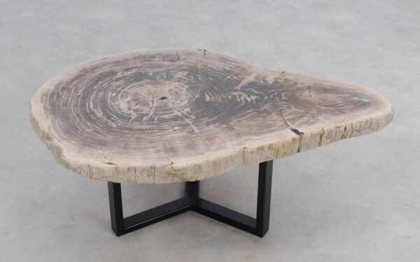 Coffee table petrified wood 50171